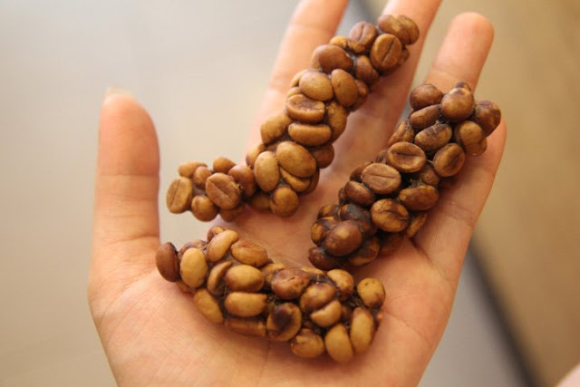 digested coffee beans