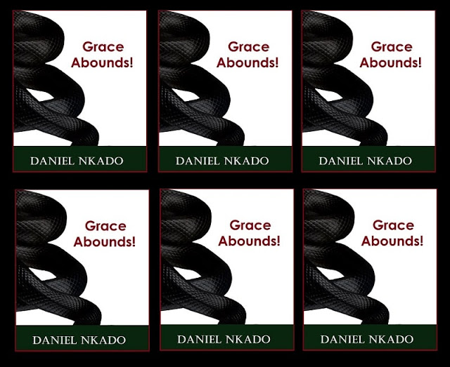  Daniel Nkado's Books