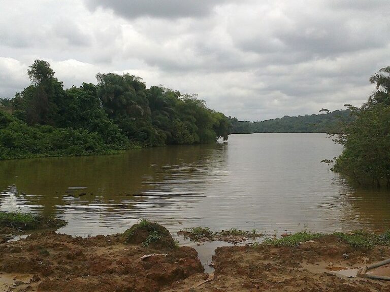 Interesting details about the massive Agulu Lake in Anambra State - DNB ...