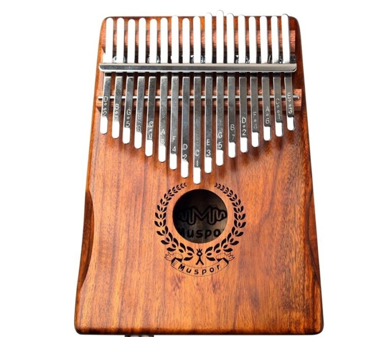 The Soulful Symphony: Diving Deep into Shona Mbira Music