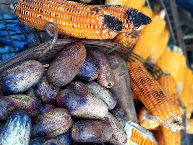 The correct way to prepare African pear or ube in Nigeria DNB Stories