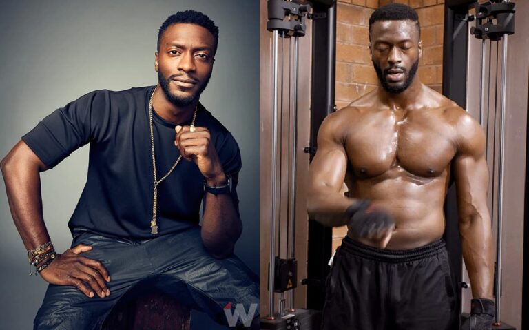 Full details of Aldis Hodge's marriage, wife and children - DNB Stories ...