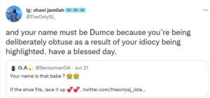 Lukaku's ex-girlfriend Shani Jamilah fights with Nigerian man on